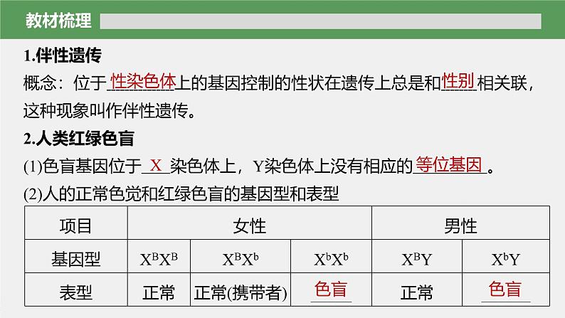 高中生物新教材同步必修第二册课件+讲义 第2章　第3节　伴性遗传06