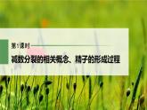 高中生物新教材同步必修第二册课件+讲义 第2章　第1节　第1课时　减数分裂的相关概念、精子的形成过程