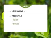 高中生物新教材同步必修第二册课件+讲义 第2章　第1节　第1课时　减数分裂的相关概念、精子的形成过程