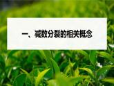 高中生物新教材同步必修第二册课件+讲义 第2章　第1节　第1课时　减数分裂的相关概念、精子的形成过程