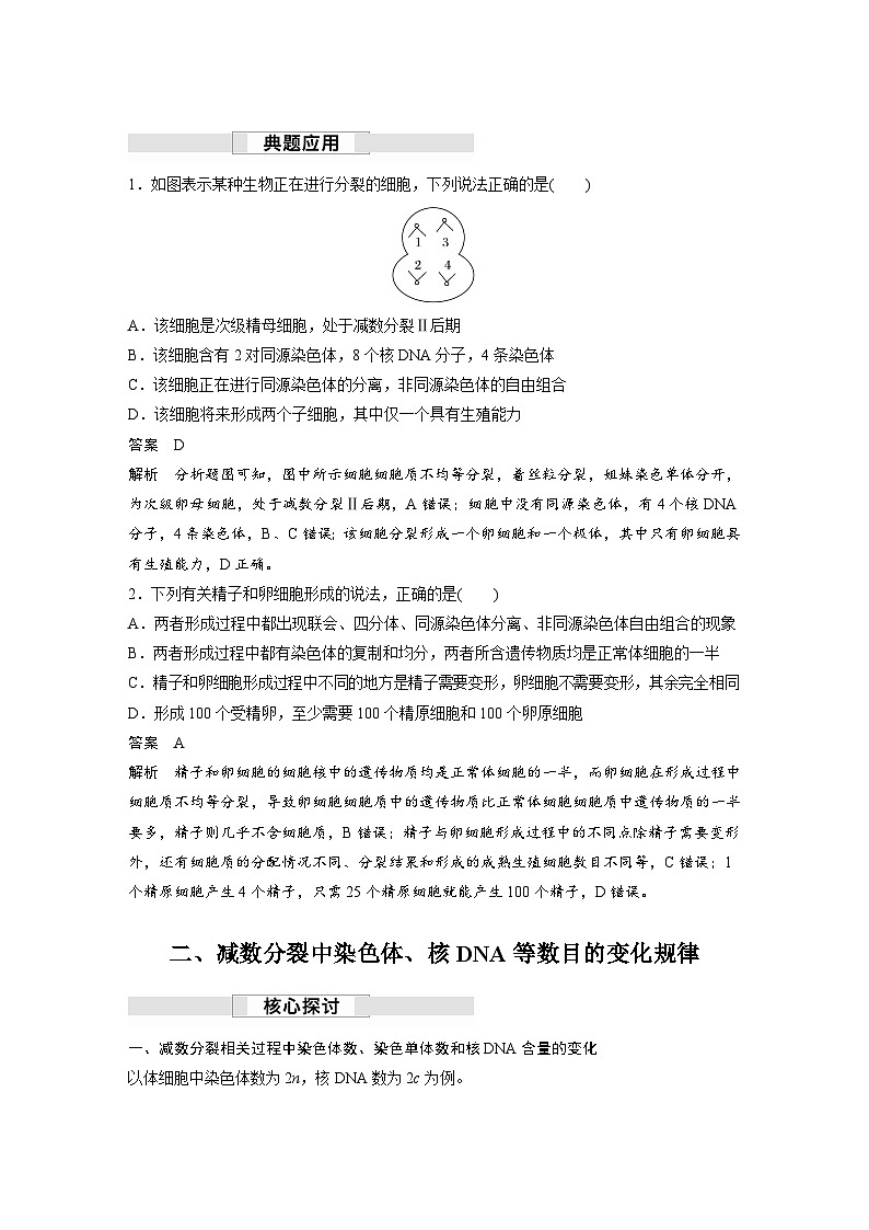 第2章　第1节　第2课时　卵细胞的形成过程、细胞分裂综合题型解题规律（讲义）第3页