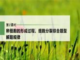 高中生物新教材同步必修第二册课件+讲义 第2章　第1节　第2课时　卵细胞的形成过程、细胞分裂综合题型解题规律