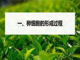 高中生物新教材同步必修第二册课件+讲义 第2章　第1节　第2课时　卵细胞的形成过程、细胞分裂综合题型解题规律