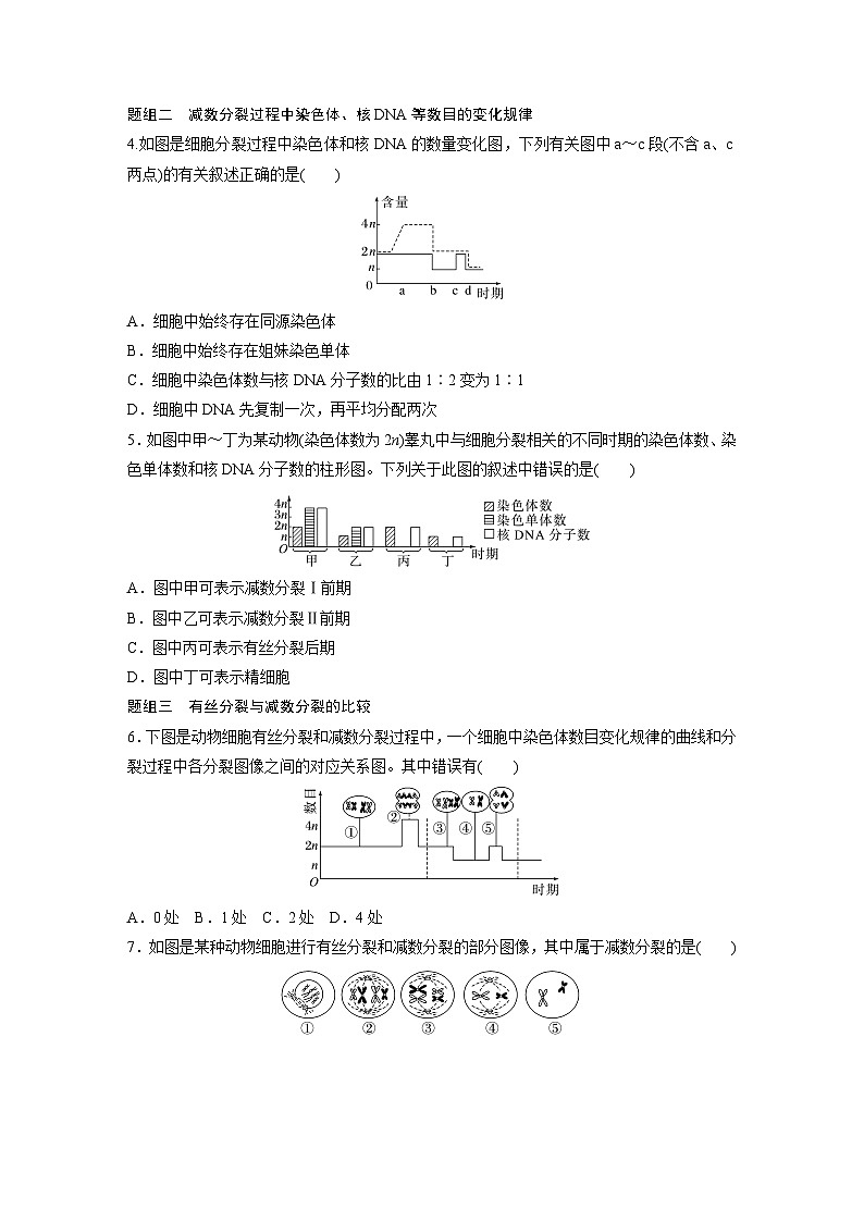 第2章　第1节　第2课时　卵细胞的形成过程、细胞分裂综合题型解题规律（练习）第2页