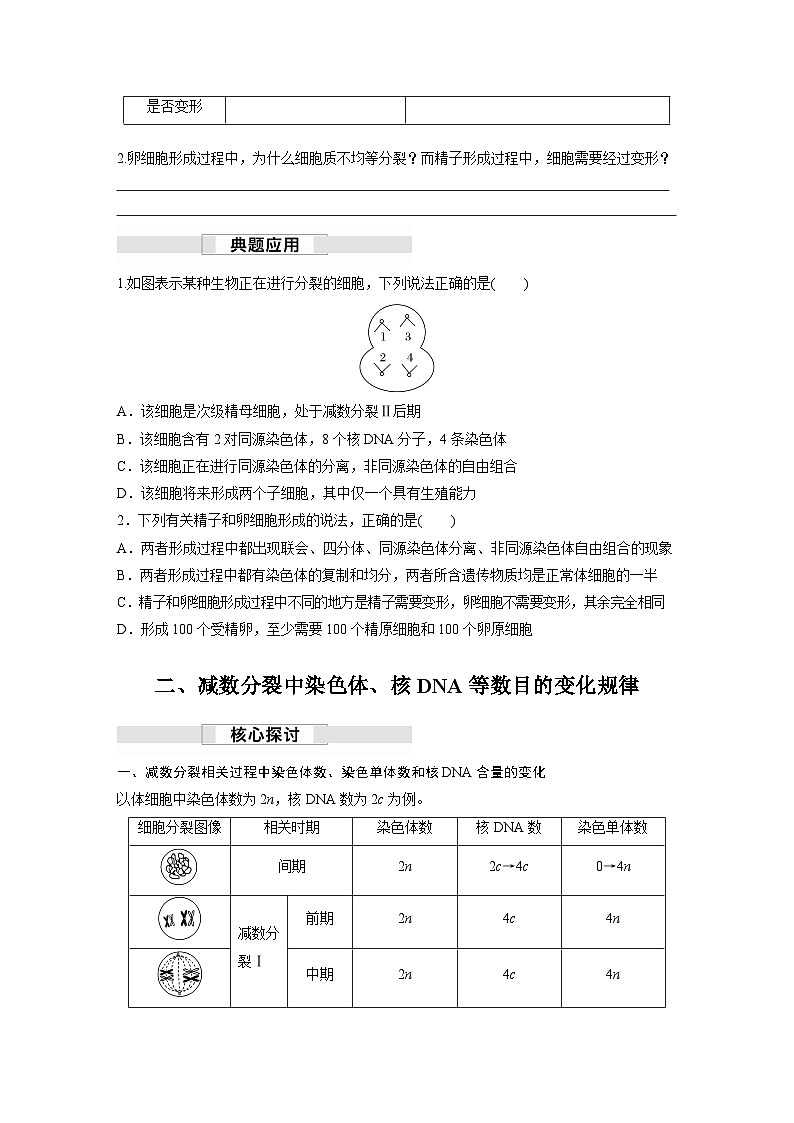 第2章　第1节　第2课时　卵细胞的形成过程、细胞分裂综合题型解题规律（学习笔记）第3页