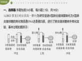 高中生物新教材同步必修第二册课件+讲义 第3章　章末检测试卷(三)