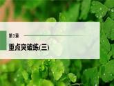 高中生物新教材同步必修第二册课件+讲义 第3章　重点突破练(三)