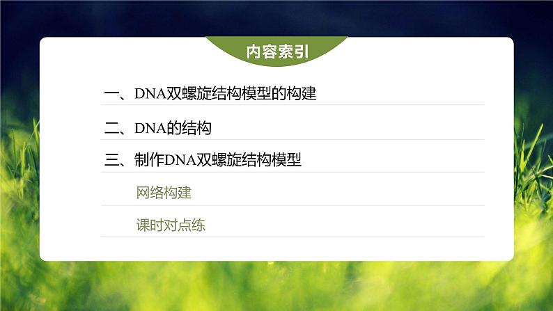 高中生物新教材同步必修第二册课件+讲义 第3章　第2节　DNA的结构04