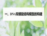高中生物新教材同步必修第二册课件+讲义 第3章　第2节　DNA的结构