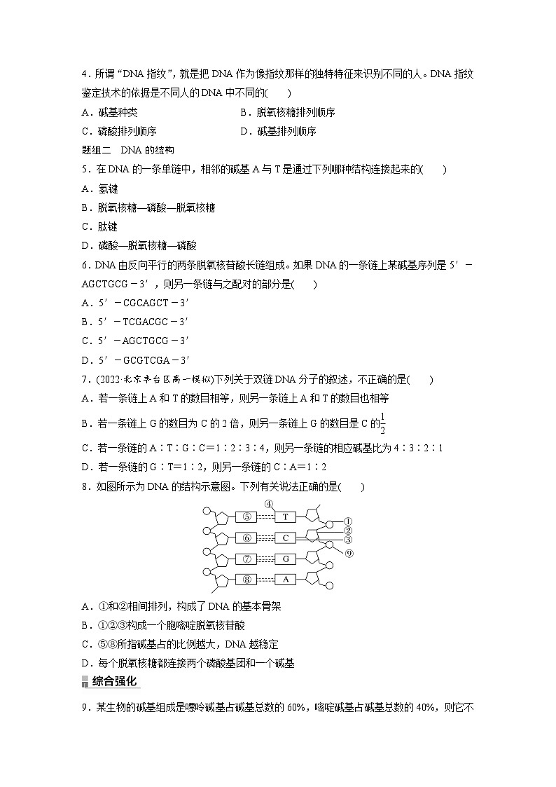 高中生物新教材同步必修第二册课件+讲义 第3章　第2节　DNA的结构02