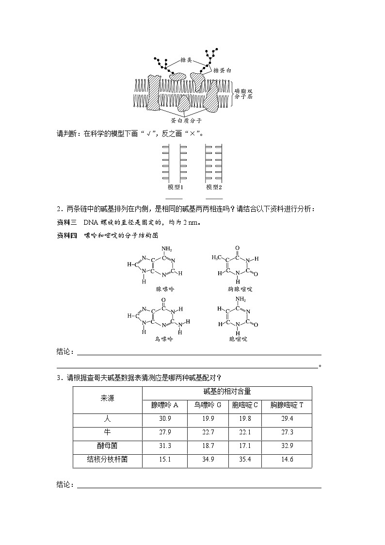 高中生物新教材同步必修第二册课件+讲义 第3章　第2节　DNA的结构02