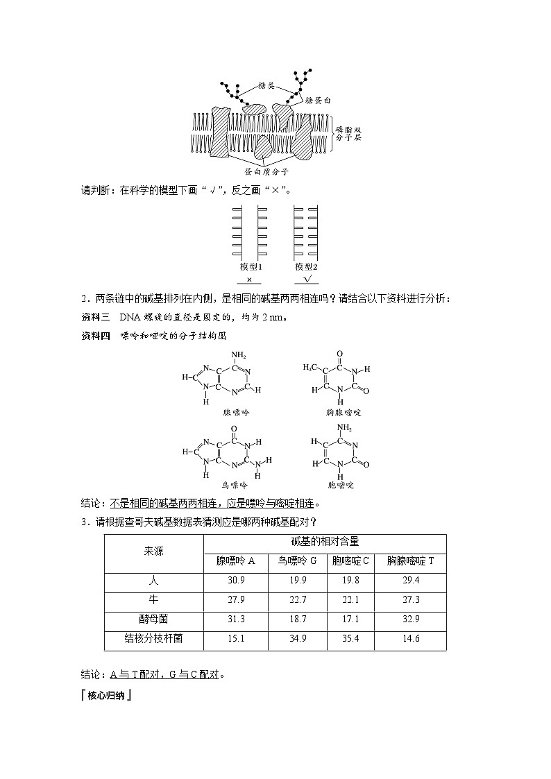 高中生物新教材同步必修第二册课件+讲义 第3章　第2节　DNA的结构02
