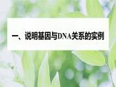 高中生物新教材同步必修第二册课件+讲义 第3章　第4节　基因通常是有遗传效应的DNA片段