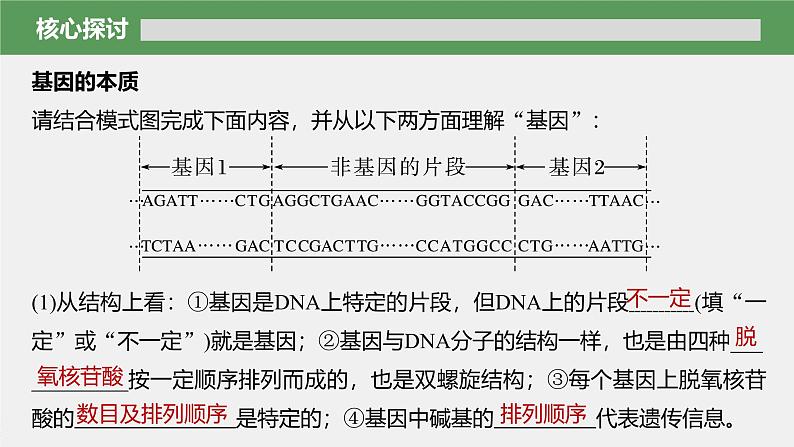 第3章　第4节　基因通常是有遗传效应的DNA片段第8页