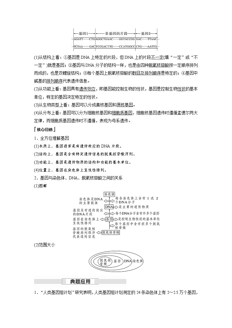 第3章　第4节　基因通常是有遗传效应的DNA片段（讲义）第2页