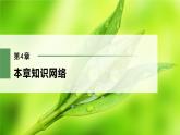 高中生物新教材同步必修第二册课件+讲义 第4章　本章知识网络