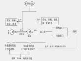 高中生物新教材同步必修第二册课件+讲义 第4章　本章知识网络