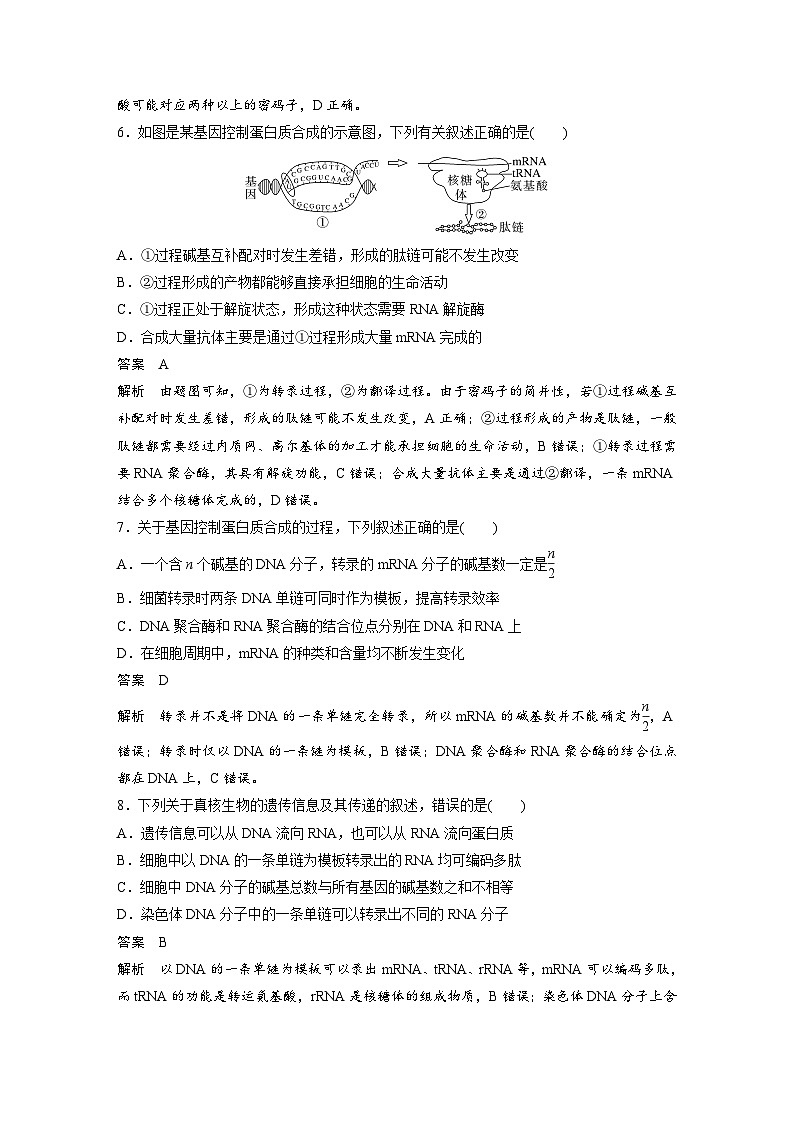 高中生物新教材同步必修第二册课件+讲义 第4章　章末检测试卷(四)03