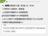 高中生物新教材同步必修第二册课件+讲义 第4章　章末检测试卷(四)