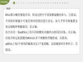 高中生物新教材同步必修第二册课件+讲义 第4章　章末检测试卷(四)