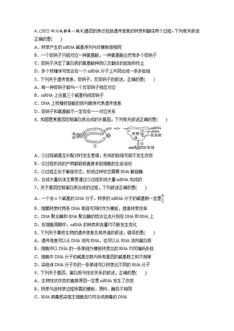 高中生物新教材同步必修第二册课件+讲义 第4章　章末检测试卷(四)02