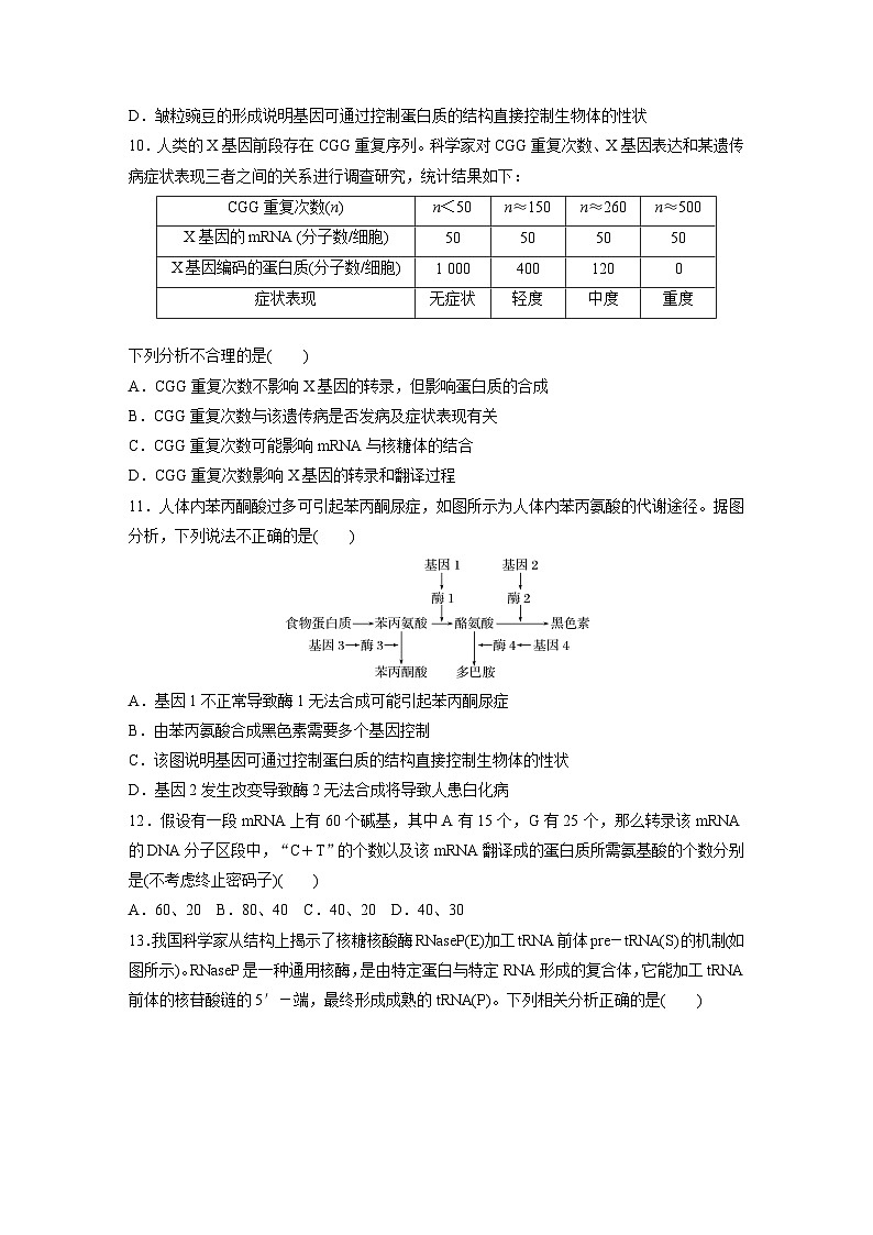 高中生物新教材同步必修第二册课件+讲义 第4章　章末检测试卷(四)03