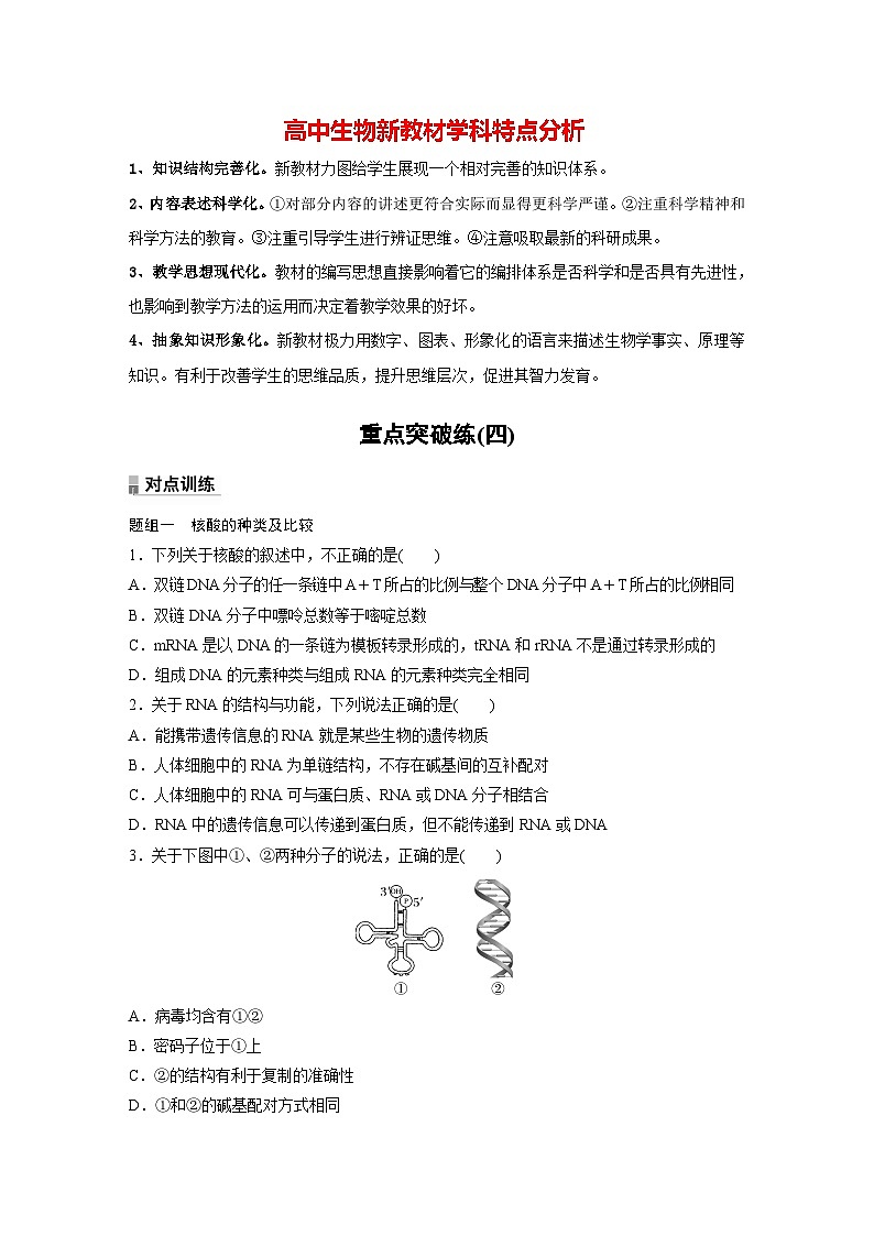 高中生物新教材同步必修第二册课件+讲义 第4章　重点突破练(四)01