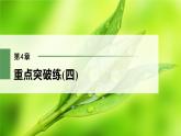 高中生物新教材同步必修第二册课件+讲义 第4章　重点突破练(四)