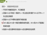 高中生物新教材同步必修第二册课件+讲义 第4章　重点突破练(四)