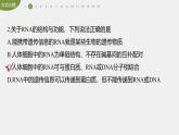 高中生物新教材同步必修第二册课件+讲义 第4章　重点突破练(四)