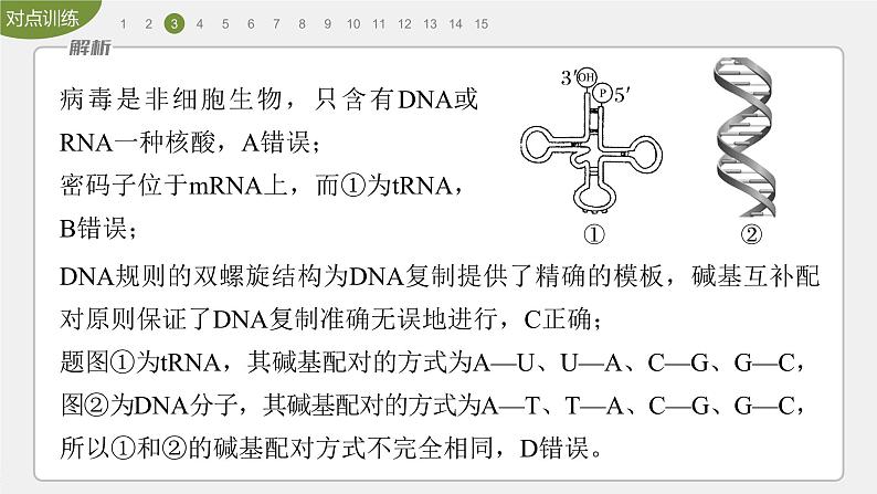 高中生物新教材同步必修第二册课件+讲义 第4章　重点突破练(四)08