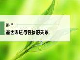 高中生物新教材同步必修第二册课件+讲义 第4章　第2节　基因表达与性状的关系