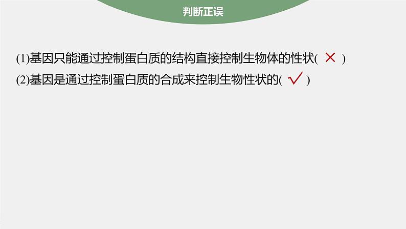 高中生物新教材同步必修第二册课件+讲义 第4章　第2节　基因表达与性状的关系08