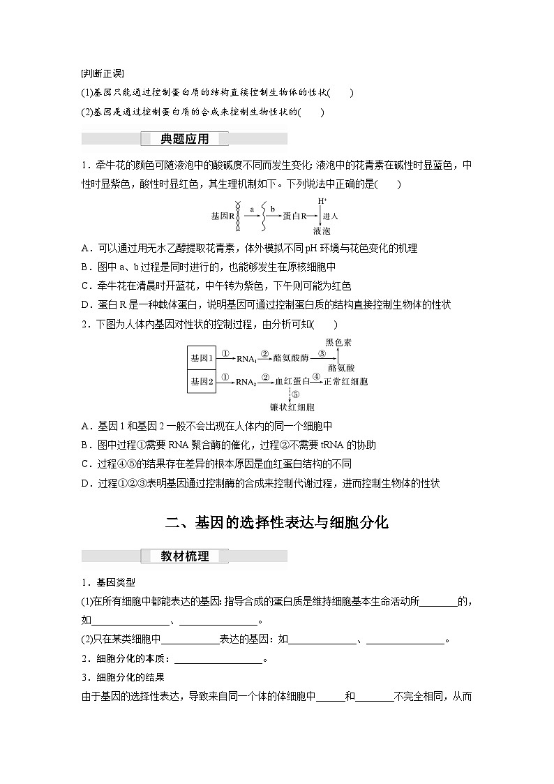 第4章　第2节　基因表达与性状的关系（学习笔记）第2页