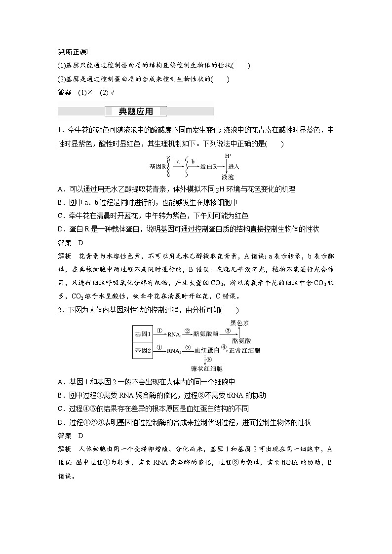 第4章　第2节　基因表达与性状的关系（讲义）第2页