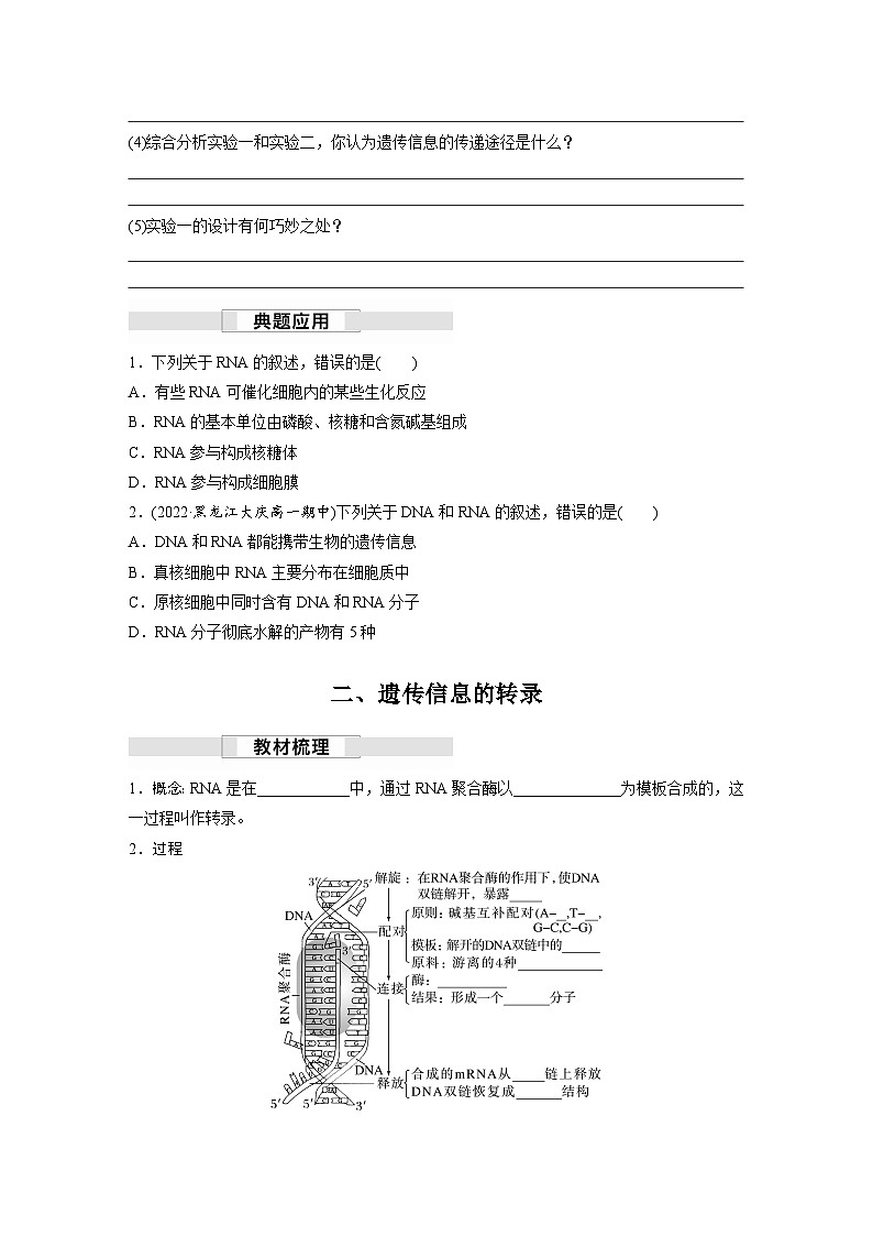 第4章　第1节　第1课时　RNA的结构和功能、遗传信息的转录（学习笔记）第3页
