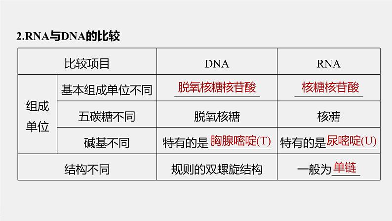 第4章　第1节　第1课时　RNA的结构和功能、遗传信息的转录第7页