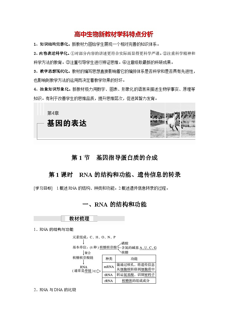 第4章　第1节　第1课时　RNA的结构和功能、遗传信息的转录（讲义）第1页