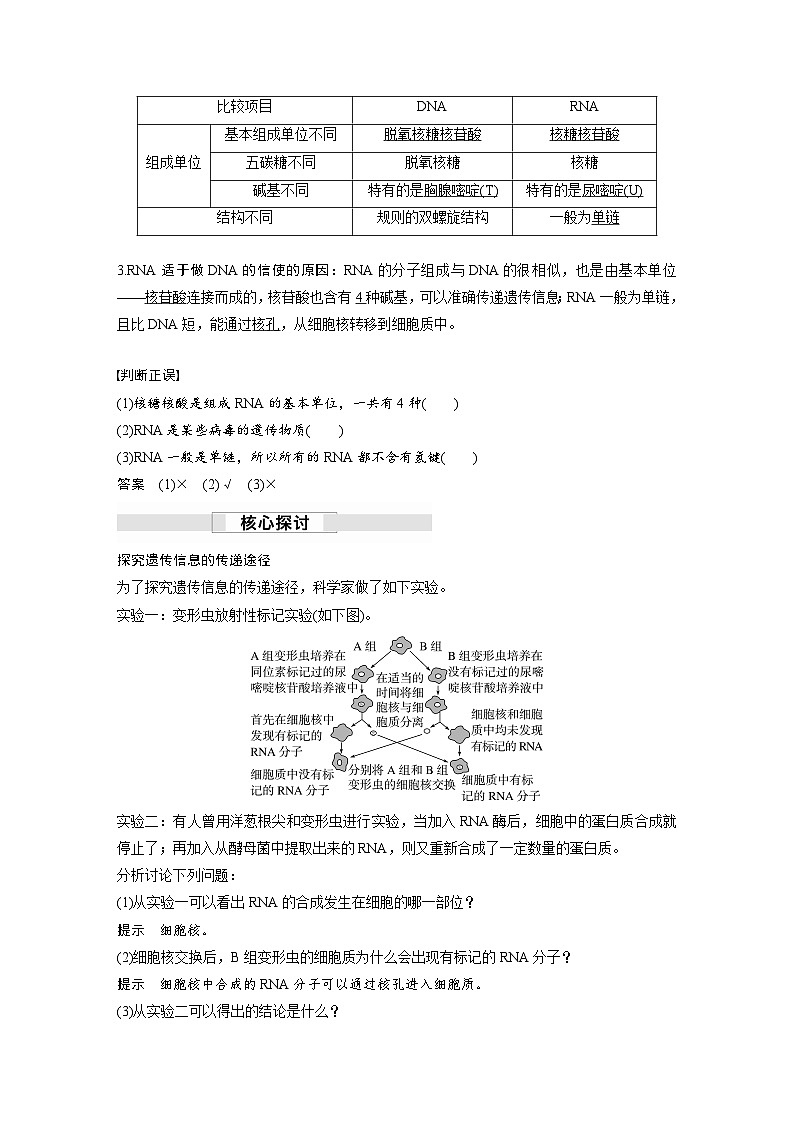第4章　第1节　第1课时　RNA的结构和功能、遗传信息的转录（讲义）第2页