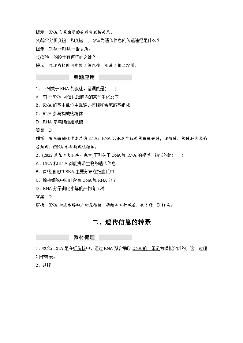 第4章　第1节　第1课时　RNA的结构和功能、遗传信息的转录（讲义）第3页