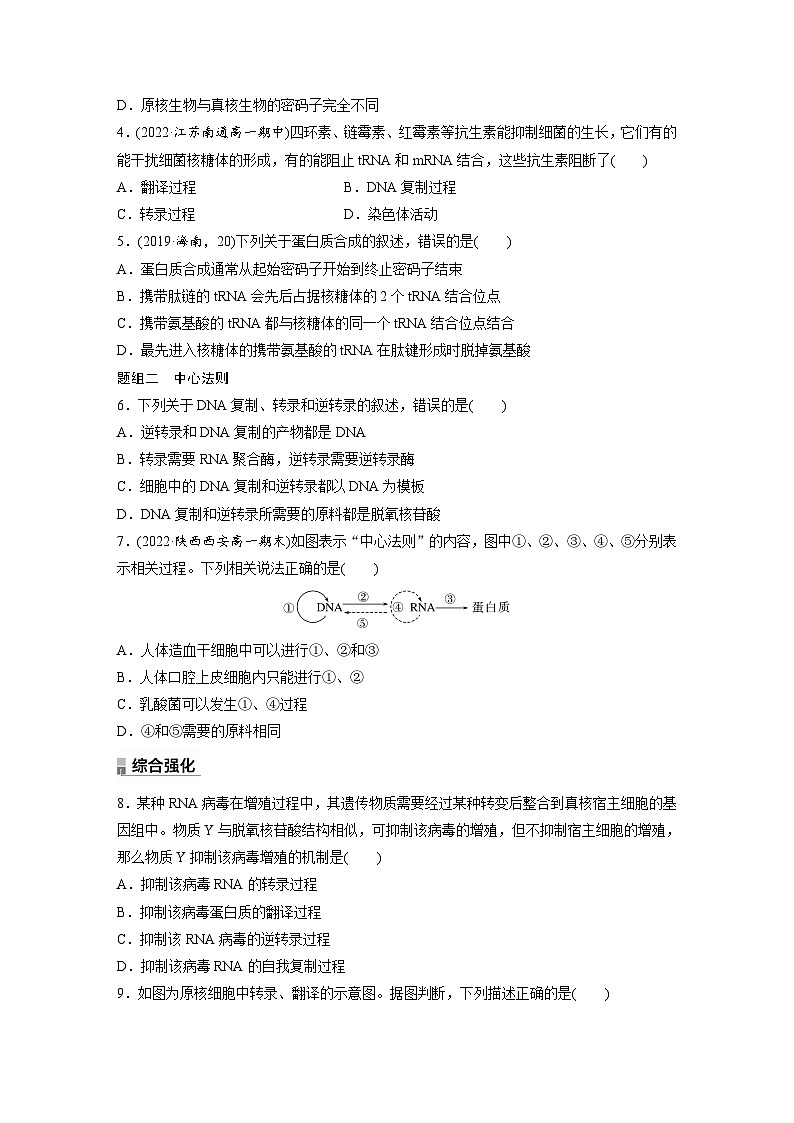 第4章　第1节　第2课时　遗传信息的翻译、中心法则（练习）第2页