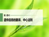 高中生物新教材同步必修第二册课件+讲义 第4章　第1节　第2课时　遗传信息的翻译、中心法则