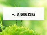 高中生物新教材同步必修第二册课件+讲义 第4章　第1节　第2课时　遗传信息的翻译、中心法则