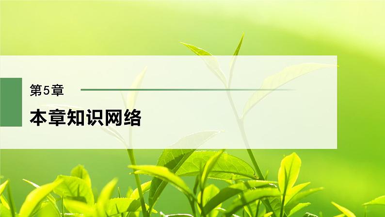 高中生物新教材同步必修第二册课件+讲义 第5章　本章知识网络02