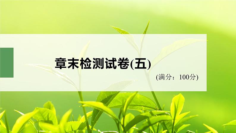 高中生物新教材同步必修第二册课件+讲义 第5章　章末检测试卷(五)02