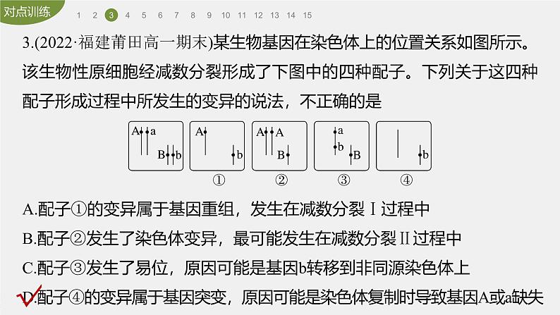 高中生物新教材同步必修第二册课件+讲义 第5章　重点突破练(五)07