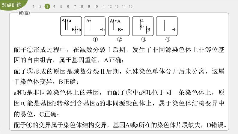 高中生物新教材同步必修第二册课件+讲义 第5章　重点突破练(五)08