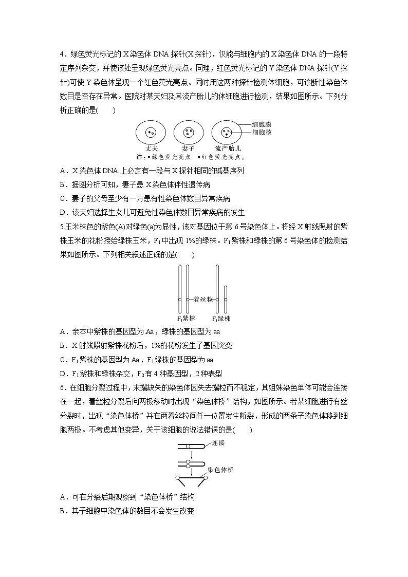 高中生物新教材同步必修第二册课件+讲义 第5章　重点突破练(五)02