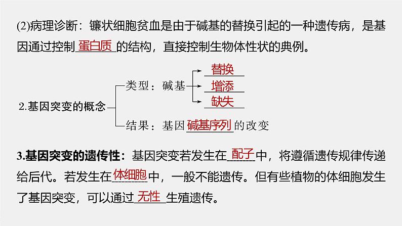 第5章　第1节　第1课时　基因突变第7页