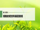 高中生物新教材同步必修第二册课件+讲义 第5章　第1节　第2课时　细胞的癌变和基因重组